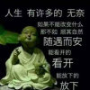 随缘之间的头像