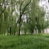 坚持梦想的头像
