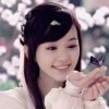 蝶恋玫瑰的头像