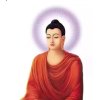 卍释迦无量佛光普照卍的头像