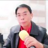 贵族感恩的头像