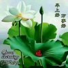 阳阳的头像