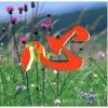为你心：痛。。的头像