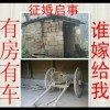 草木一心的头像