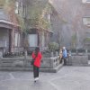 小米啦的头像