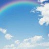 雨后彩虹的头像
