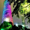 红霞的头像