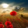 春夏秋冬的头像