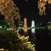 顺其自然的头像