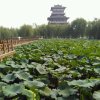 清风戏雨的头像