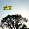 爱文【拒群】*（忙*互动少*慎关）的头像