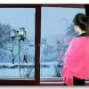 风雨彩虹……。的头像