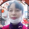 美丽花朵的头像