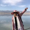 午后绿茶的头像