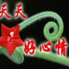 梅子的头像