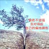 沉默是金的头像