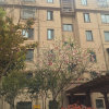 龙在江湖(邓九龙）的头像