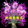 思念的头像