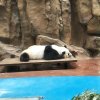 城市孤行的头像