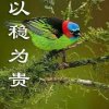 小明的头像