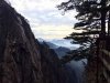 峰的头像