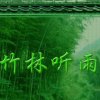 竹林听雨的头像