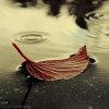 小资的头像