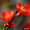 守望幸福的头像