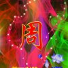 大漠绿洲的头像