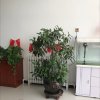 你系我心 的头像