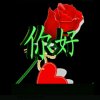 70后的春天的头像