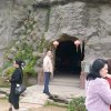 时光乐的头像