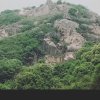 孤狼《退》恕不回礼的头像