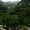 过眼云烟的头像