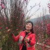 ～青清～的头像