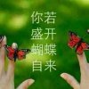 随风的沙的头像