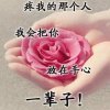 心苦的头像