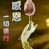 一笑而过，以诚相待的头像