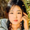芳华如梦的头像