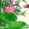 互粉岩谷花香的头像