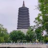 平安中的快乐的头像