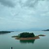  明亮的星星的头像