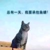 KLKG的头像