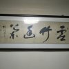 素竹幽兰的头像