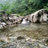 跋山涉水的头像