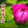 不优美的头像