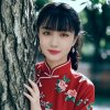 凤凰缘:晓蝶的头像