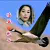 095鸿雁✿艳子的头像
