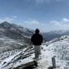 陈白.忙现.的头像