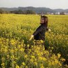 菜菜的头像